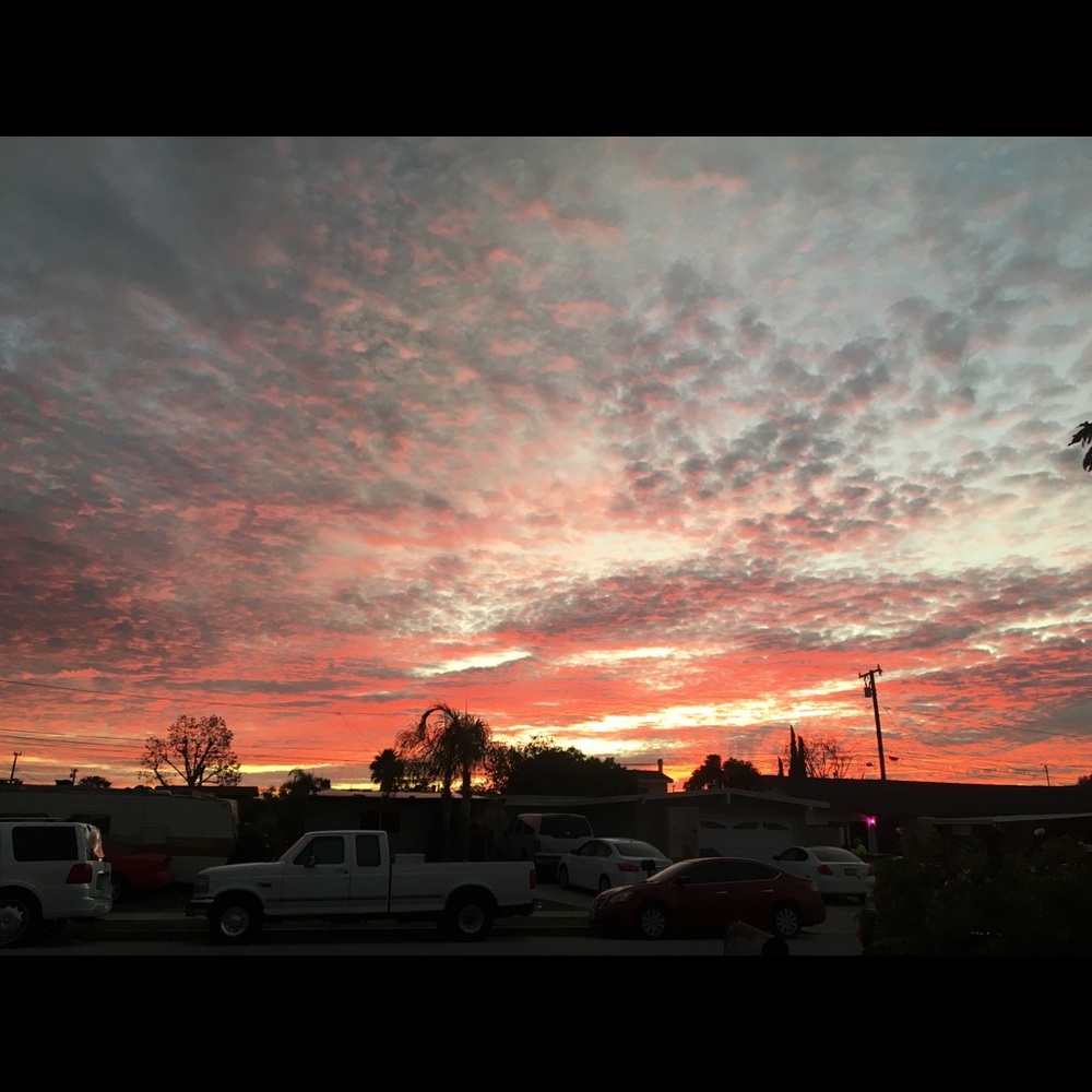 Meet your Posher, Jovany